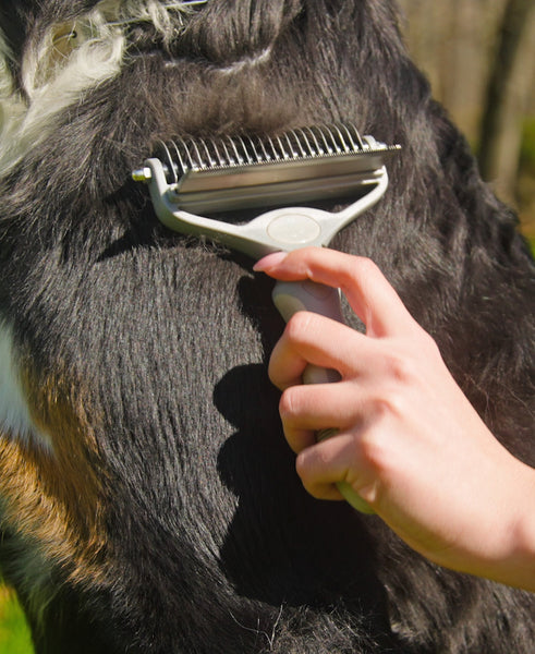 DUO GROOMER BRUSH + COMB IN ONE x 3